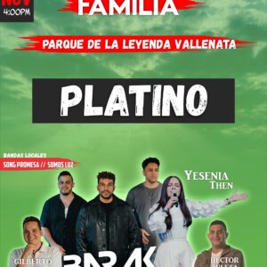 INGRESO  PLATINO